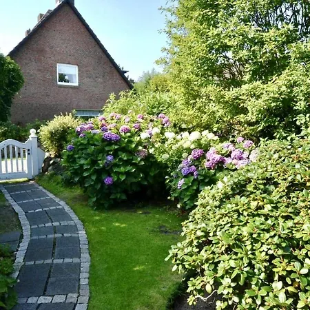 Strandnelke * Westerland